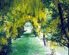 maydene.co.uk Maydene