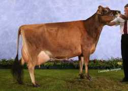 Maygan
