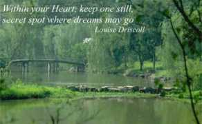 dreamsalive.com Maygo