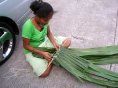 comfsm.fm Mayleen