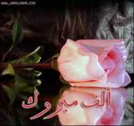 baqofa.com Maynona