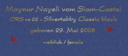 siam-castel.ch Maynur