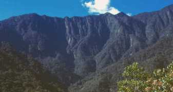 loujost.com Mayordomo