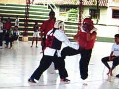 worldhapkidoclub.es.tl Mayral