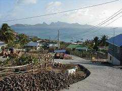 Mayrea