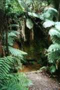 tourisminternet.com.au Maytal