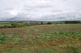 Maytham