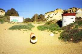 Mazagon