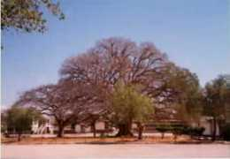 Mazengo