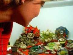 celesteolalquiaga.com Mazzarol
