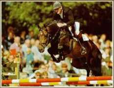 hogendoorn.ca Mazzel