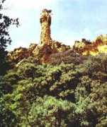 Mazzinga