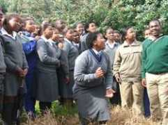 weavers.adu.org.za Mbewu