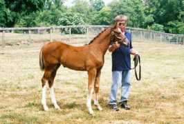 herselffarm.com Mcarol