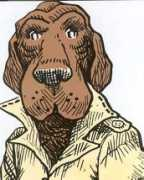 Mcgruff