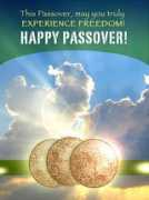 chabad.org Mche