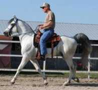 mofoxtrot.com Mcnail