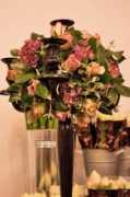 flowerona.com Mcqueens