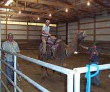 strobullfarms.com Meachelle