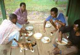 Mealie