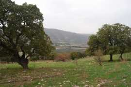 biblewalks.com Meamar
