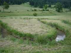 panoramio.com Meandre