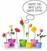watanabefloral.com Meanings