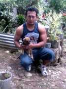 Mecias
