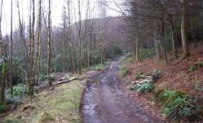 geograph.org.uk Mecklin