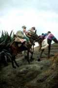 ilcornodafrica.it Medhanie