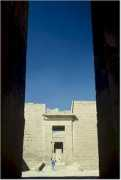 nickwinter.com Medinat