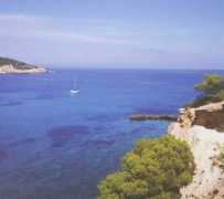 dinosoria.com Mediterranee