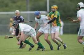 eveningecho.ie Meelin