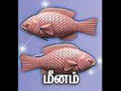tamil.oneindia.com Meenam