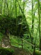 Meerbach