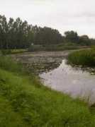 Meern