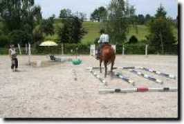 cowhorses.ch Megge