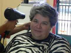 funnytheworld.com Mehair