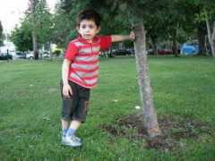 Mehrad