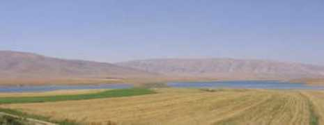 savepasargad.com Mehrali