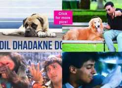 bollywoodlife.com Mehras