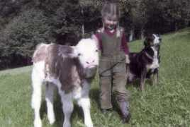 Meieli