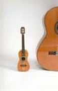 theguitarsalon.com Meinel