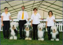 meisan.co.uk Meisan