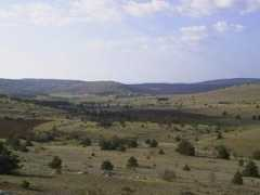 Mejan