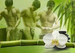 mekkalamenspa.com Mekkala