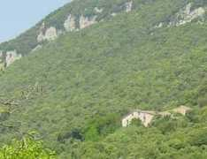 Melcio