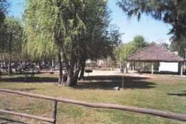 Melesi