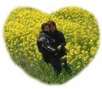 bz-hyogo.sub.jp Melhen