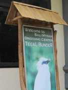 travel.kompas.com Melihat